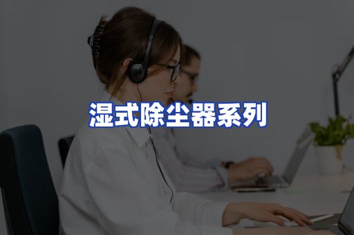 湿式除尘器系列