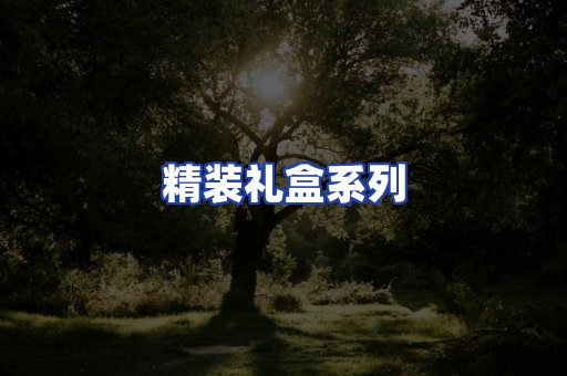精装礼盒系列